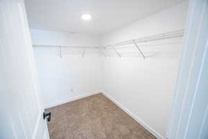 Spacious closet featuring carpet floors