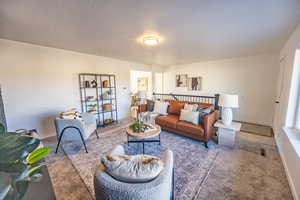 Carpeted living room with a textured ceiling