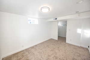 Basement featuring light carpet