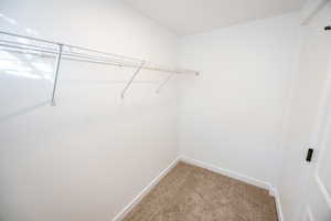 Spacious closet featuring carpet flooring