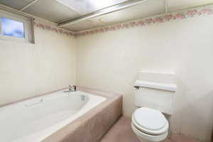 Bathroom featuring toilet and a washtub