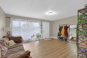 Living room featuring a textured ceiling and wood-type flooring