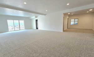 Walkout Downstairs living area and flex space