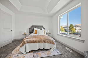 Bedroom featuring a tray ceiling, carpet flooring, and a mountain view