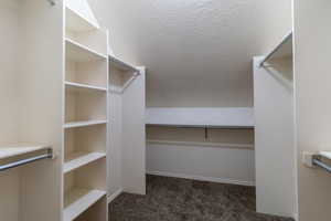 Spacious closet with dark colored carpet