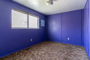 This roomy secondary bedroom on the first floor overlooks the tranquil front yard.