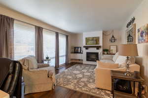 Living room featuring dark wood-type flooring