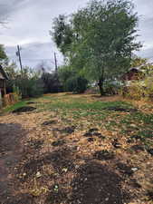 Backyard, fully fenced.