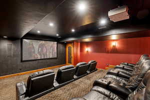 Theater Room