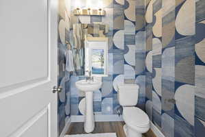 Bathroom with toilet and wood-type flooring