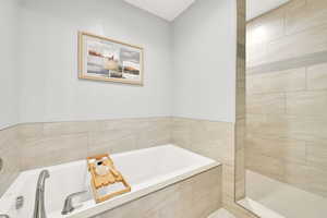 Bathroom with shower with separate bathtub