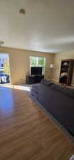 Living room featuring wood-type flooring and a textured ceiling