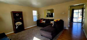 Living room featuring dark hardwood / wood-style floors