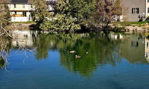 Serene pond as you enter the community, walking path & benches