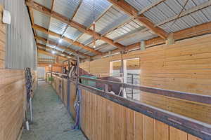 View of horse barn