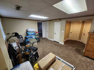 Basement featuring a drop ceiling and carpet