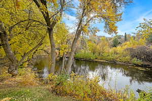 View of water feature