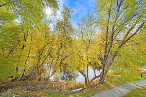 View of water feature