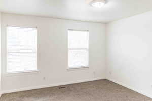 Empty room with carpet and a wealth of natural light