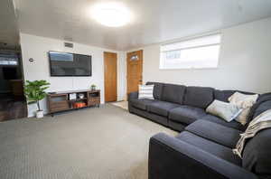 Living room featuring a textured ceiling and wood-type flooring