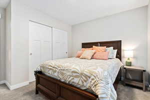 Bedroom with a closet and carpet