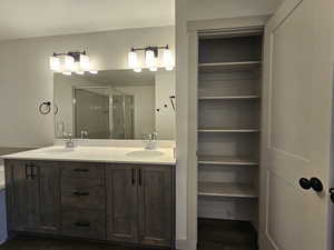 Bathroom with vanity, wood-type flooring, and a shower with door