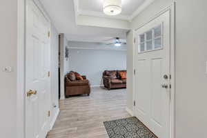 Foyer entrance with crown molding, light wood-type flooring, and ceiling fan