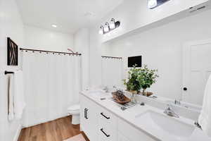 Bathroom with vanity, wood-style floors, curtained shower, and toilet