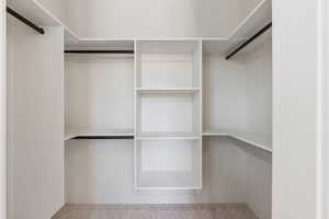 Spacious closet featuring carpet