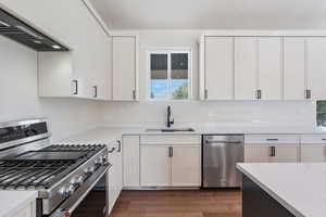 Kitchen with white cabinetry, extractor fan, sink, and stainless steel range