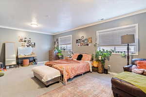 Carpeted bedroom with crown molding and a textured ceiling