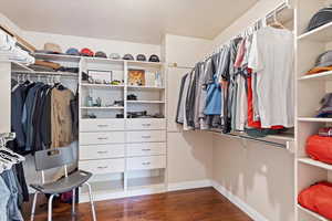 Spacious closet with dark hardwood / wood-style flooring