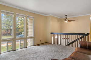 Living room with crown molding, carpet flooring, a healthy amount of sunlight, and ceiling fan