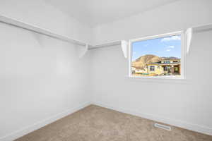 Spacious closet with carpet and visible vents