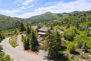 Aerial view of a mountainous background and a forest