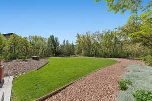 View of grassy yard