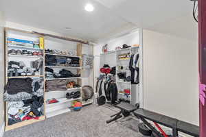 Walk in closet with carpet floors