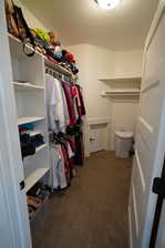 Spacious closet with dark colored carpet