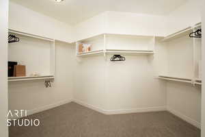 Spacious closet with dark carpet