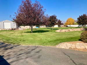 View of yard with a storage unit