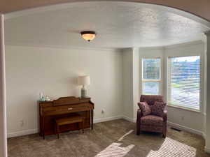 Living area featuring ornate columns, crown molding, a textured ceiling, and dark carpet