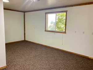 Carpeted spare room featuring crown molding