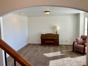 Living area featuring crown molding, dark colored carpet, and a textured ceiling