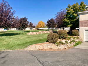 View of community with a lawn