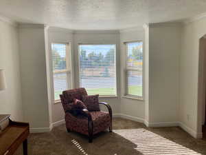 Living area with dark carpet, crown molding, and a textured ceiling