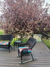 View of wooden deck