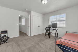 Office area featuring a textured ceiling and light colored carpet