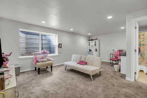 Sitting room featuring light carpet and a textured ceiling