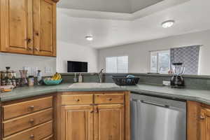 Kitchen with stainless steel dishwasher and sink