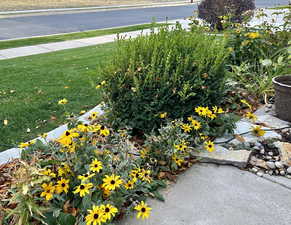 View of beautiful front landscaping